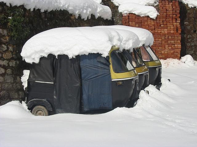 rickshaws-in-winter-india-travel-forum-indiamike