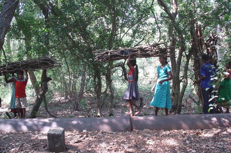 Adivasi India