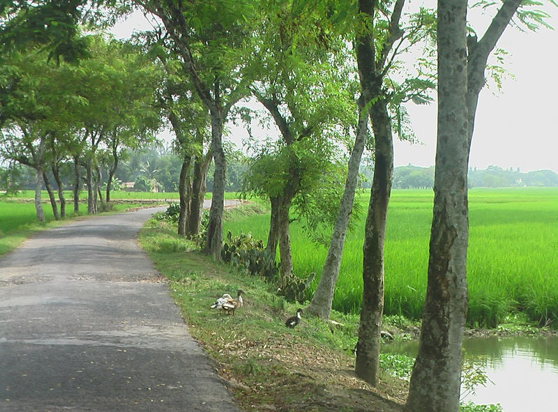 Rural Bengal