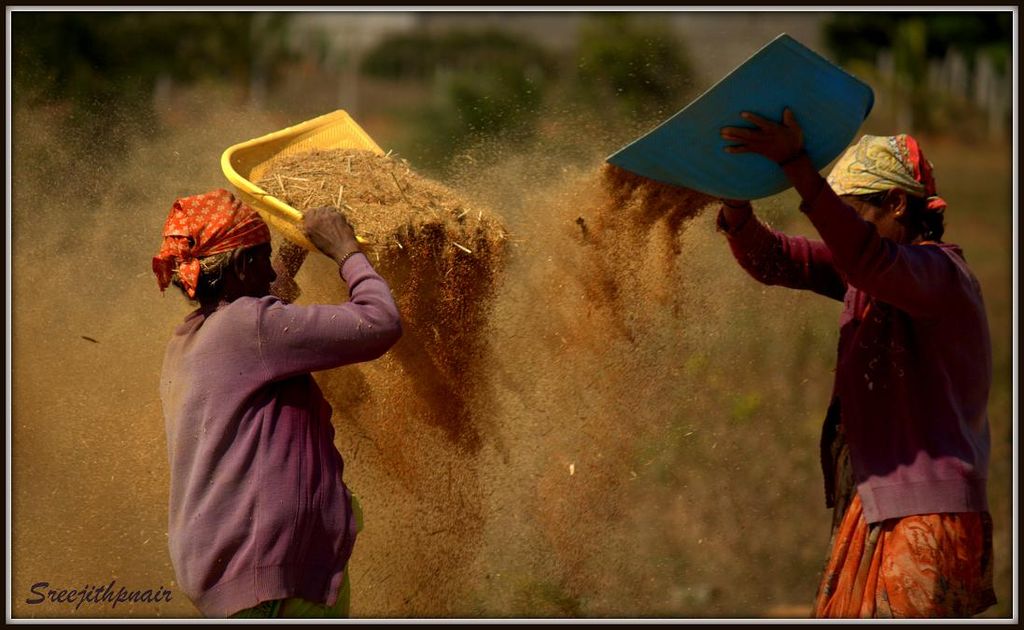 winnowing-india-travel-forum-indiamike