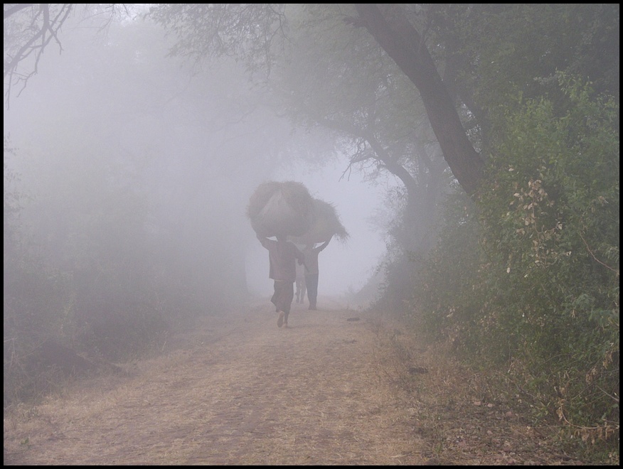 misty-morning-india-travel-forum-indiamike