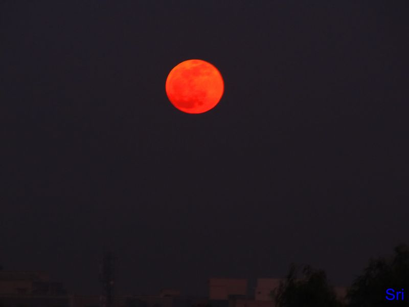 Full Red Moon day India Travel Forum