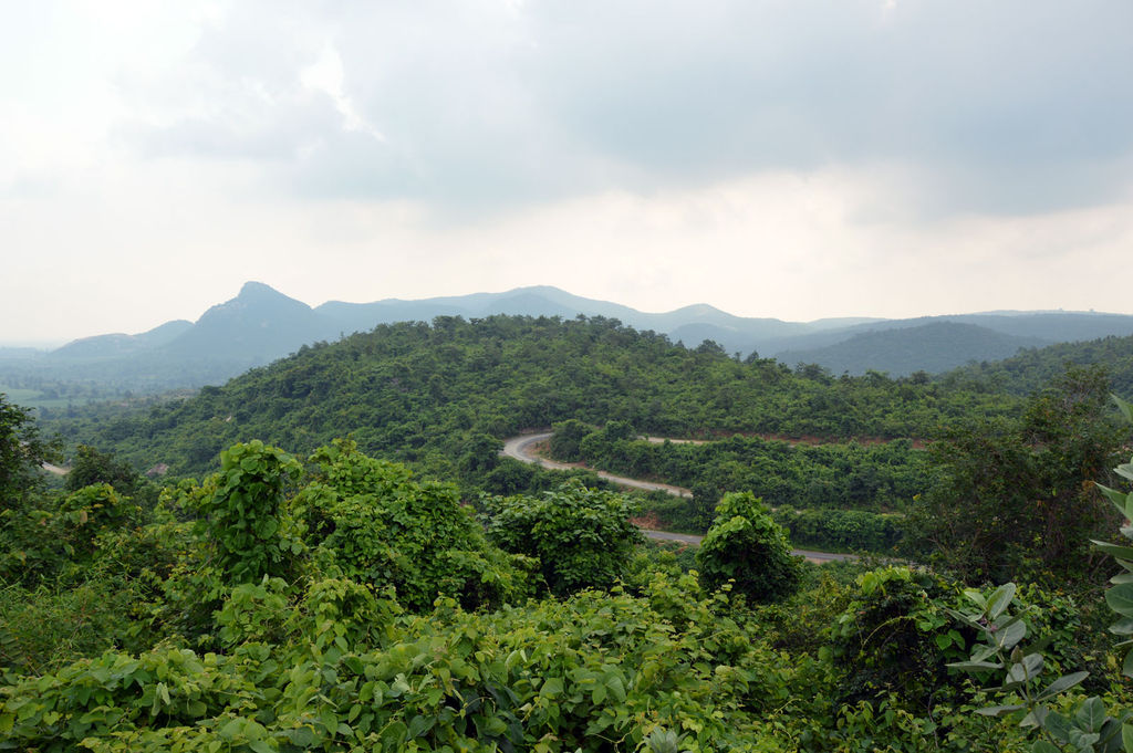 Way to Ayodhya Pahar - India Travel Forum | IndiaMike.com