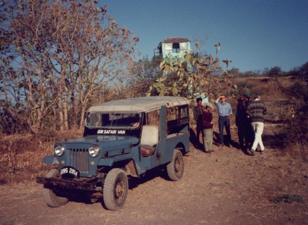 Gir Lion Sanctuary