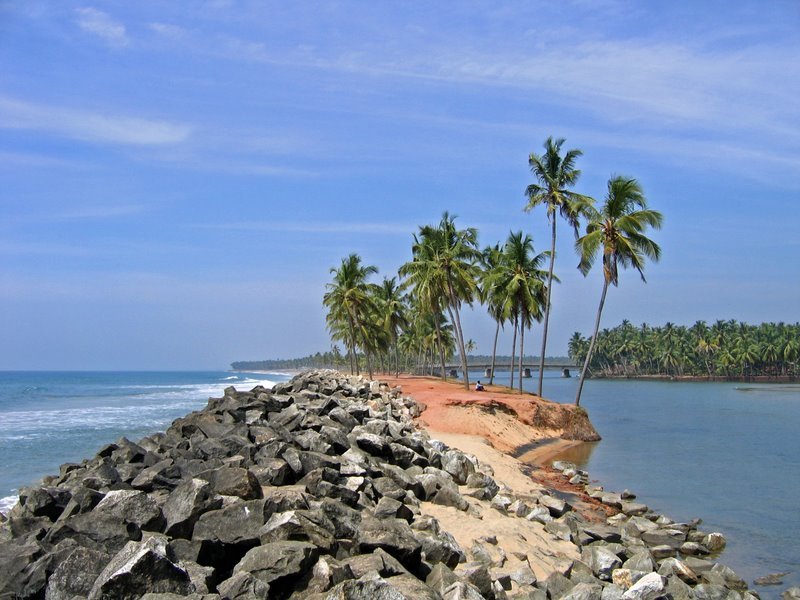 Lonely Beaches