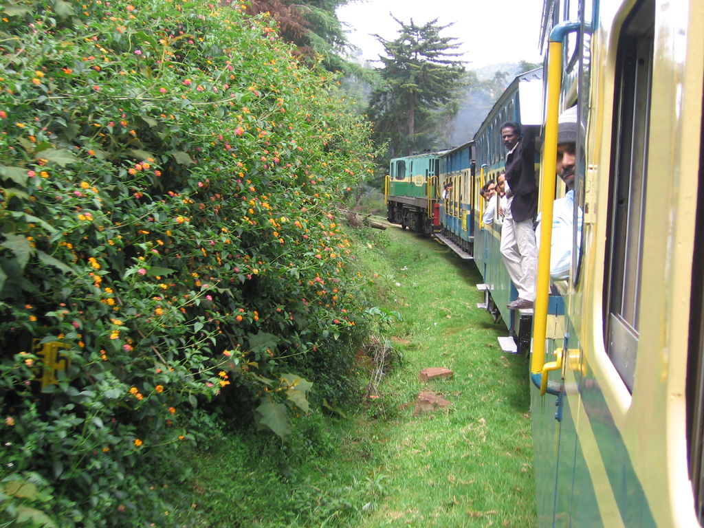 toy train ooty
