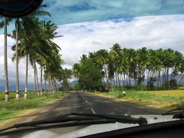 way to thekkady, kerala