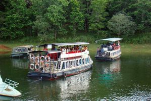 Boat rides at Periyar Sanctuary, Thekkady
