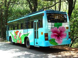 Floral painted Tamil Nadu tourbus1