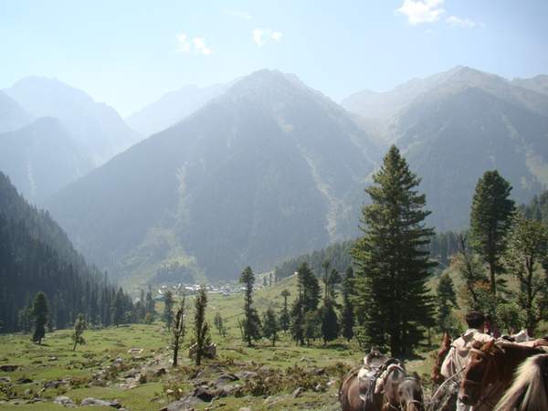 Enchanting Trip To Kashmir !!! - India Travel Forum 