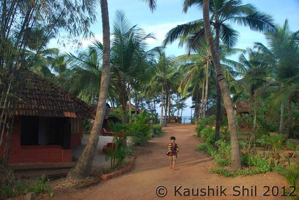 turtle bay karnataka