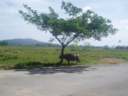 Karwar Goa