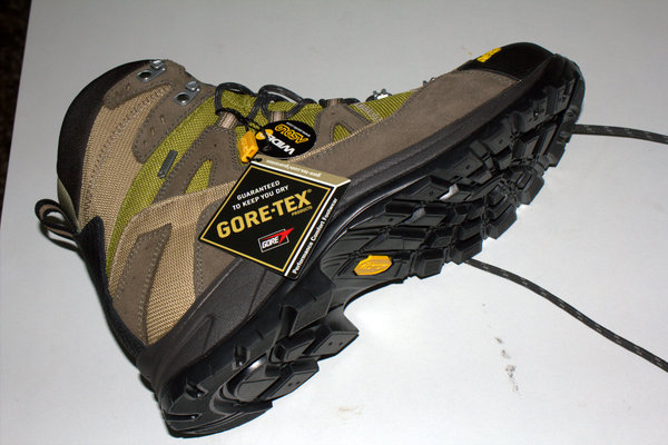 alpine hiking shoes