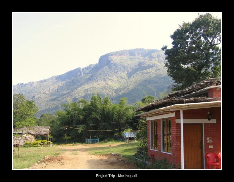 mudumalai resorts