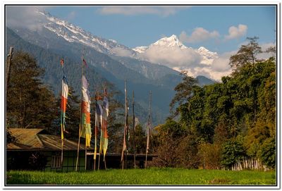 India Travel | Forum: Sikkim - Where to stay in dzongu valley