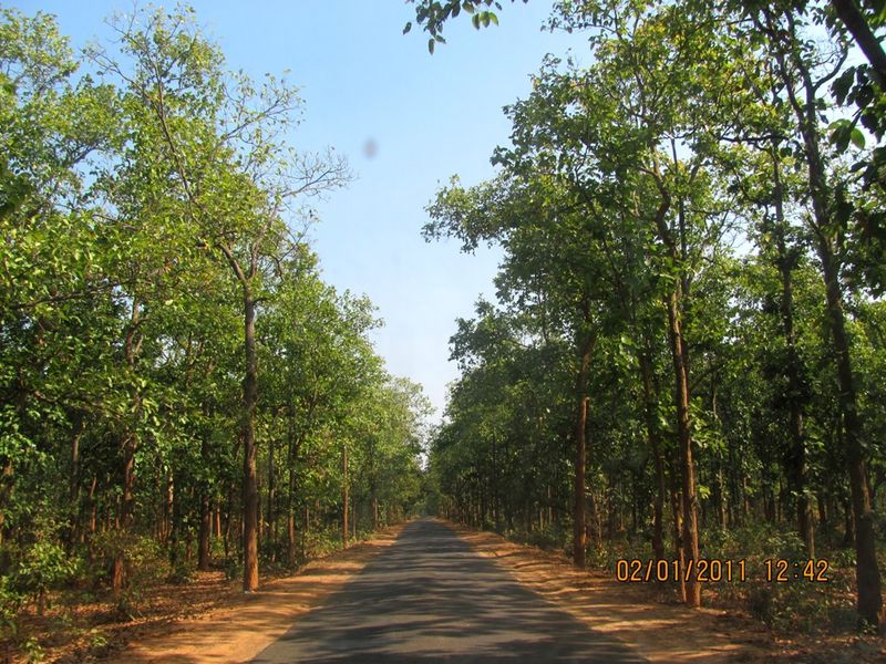 Mukutmanipur-Bishnupur Highway - India Travel Forum | IndiaMike.com