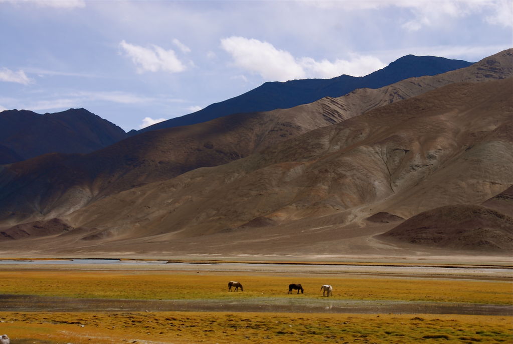 Hanley, Ladakh - India Travel Forum | IndiaMike.com