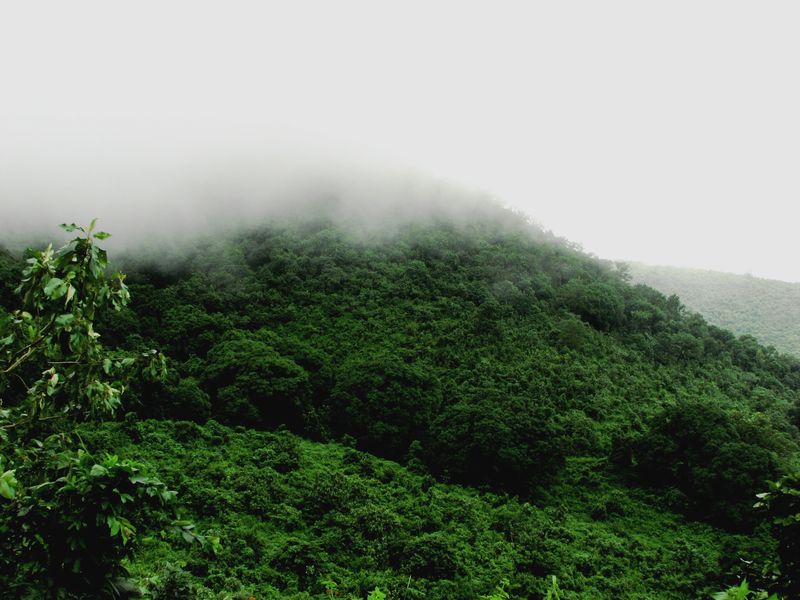 Cloud is in the lap of hill, Daringbadi,Orissa - India Travel Forum ...