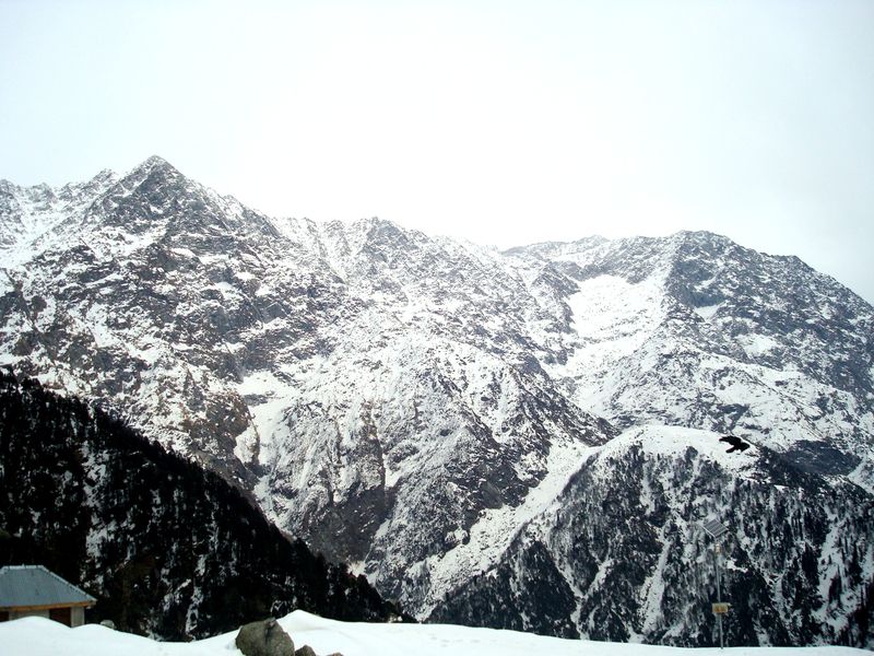 Triund - India Travel Forum | IndiaMike.com