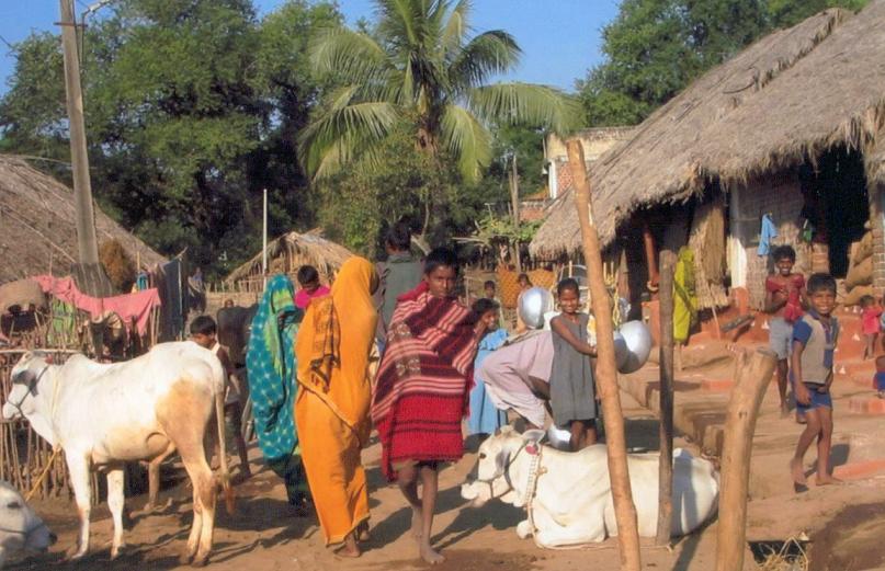 Cattle breeder village - India Travel Forum | IndiaMike.com