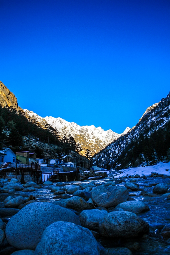 Kedartal in Uttarakhand is located 17 km from Gangotri, at an altitude of  4,750 meters. : r/IndiaDivine