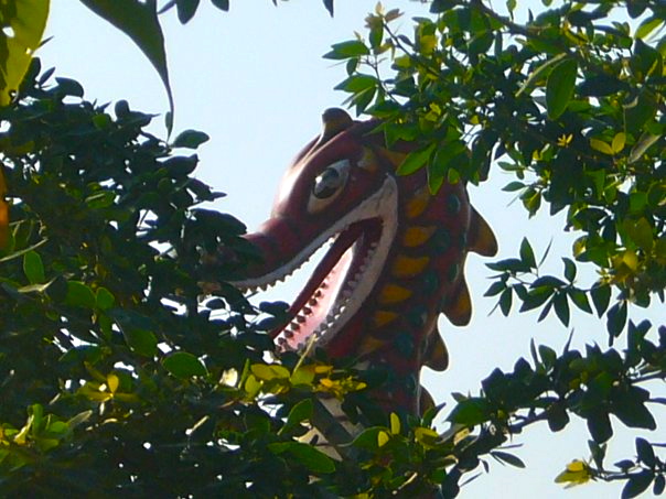 Indian dragon - India Travel Forum | IndiaMike.com