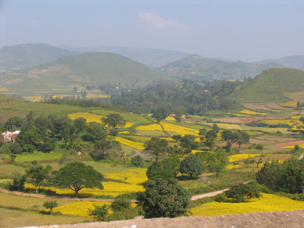 Araku Valley - India Travel Forum | IndiaMike.com