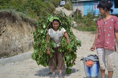 Lava - A Dream like Village in Kalimpong