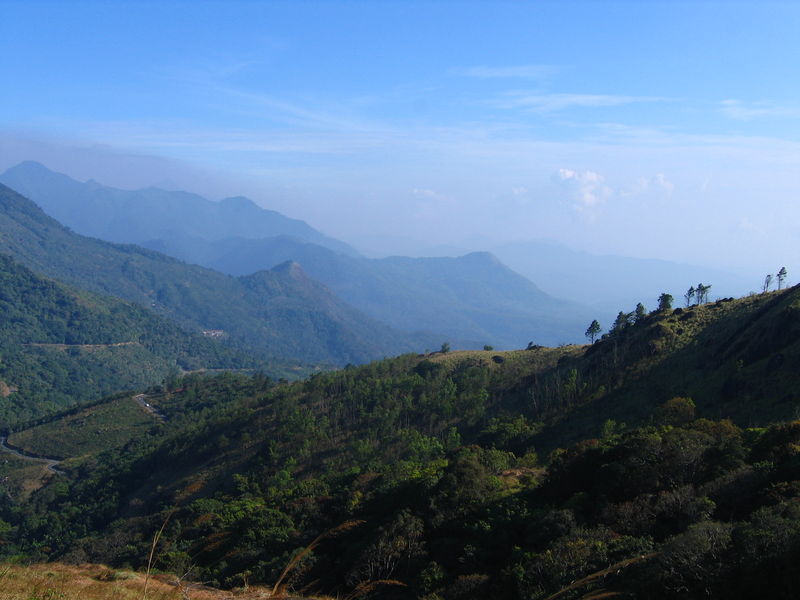 Ponmudi hills - India Travel Forum | IndiaMike.com