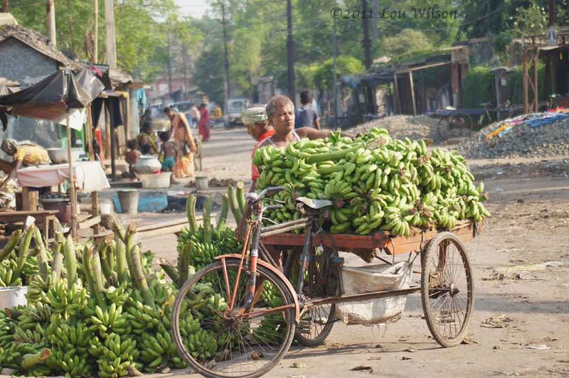 Banana Man - India Travel Forum | IndiaMike.com