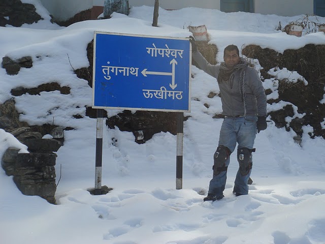 CHOPTA in winter - India Travel Forum | IndiaMike.com