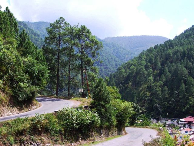 Binsar Travel Guide - Binsar Tourism Bird Wildlife Sanctuary Tours