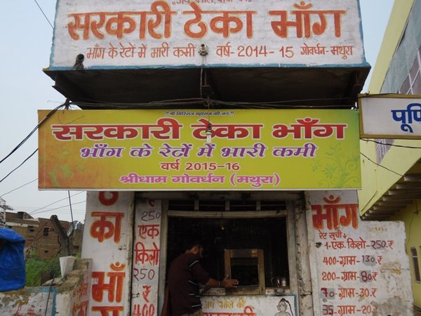 Bhang shops in Mathura-Govardhan - India Travel Forum | IndiaMike.com